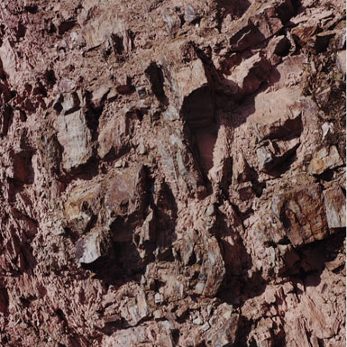 混合石英岩的红色板岩